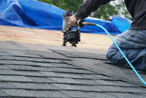 Best Rubber Roofing (EPDM, TPO)  in Tuscola, IL